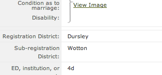 How many Harry Potter words can you find in your family’s history?