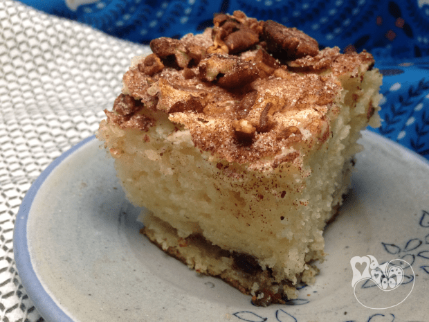 Heather's Cinnamon and Sour Cream Coffee Cake - MamootDIY.com