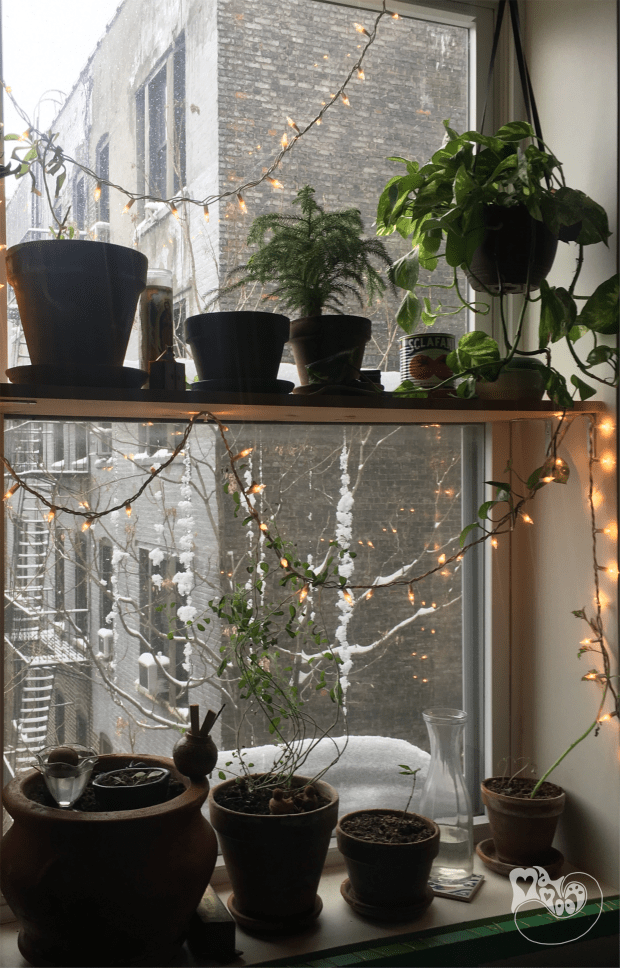 Snowbound Soap - MamootDIY.com